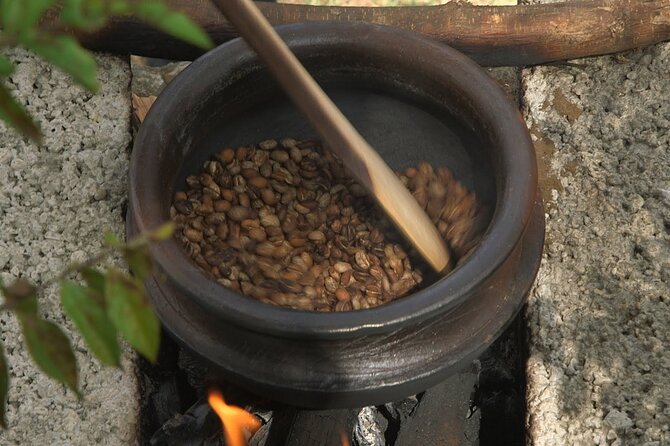Private Meru Coffee Tour in Nkoaranga - Practical details for a smooth visit