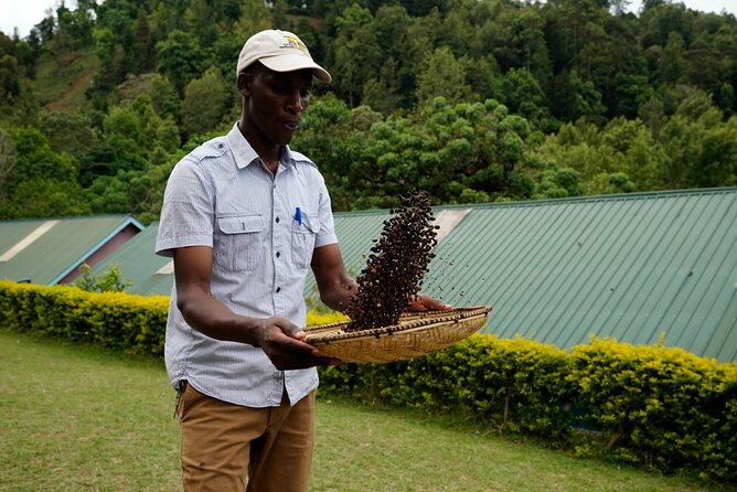Private Meru Coffee Tour in Nkoaranga - Should you book the Nkoaranga coffee tour?