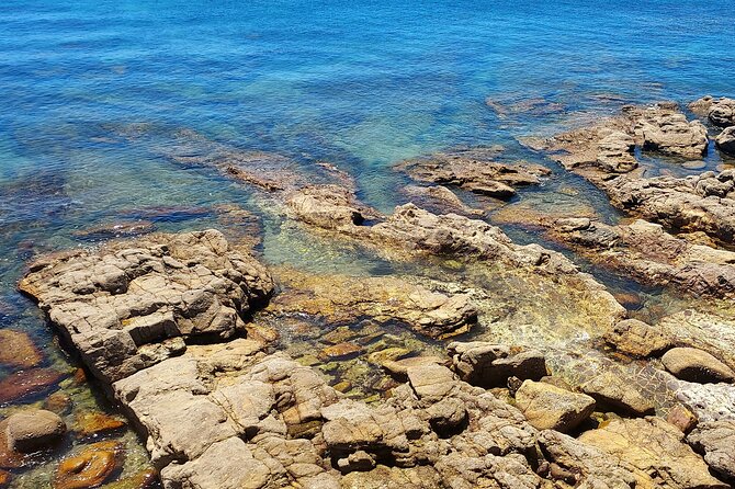 Private Open Top Coastal Tour with Coffee Included - Key points to know before booking