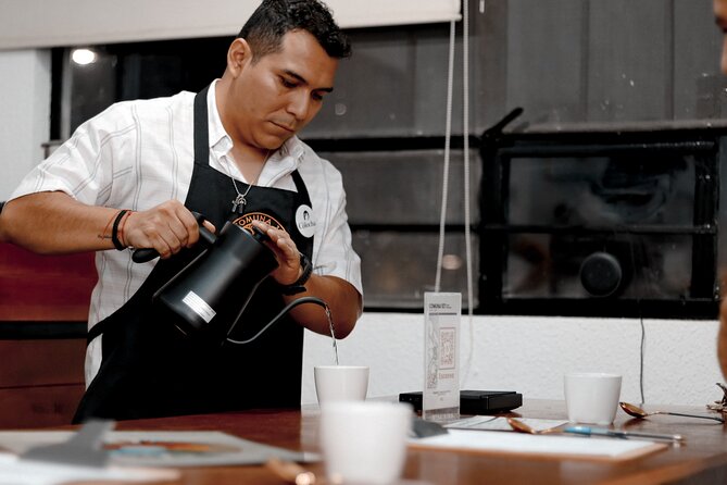 Private Tasting of Chiapas Coffees for 2 Hours - Who will get the most from this coffee experience