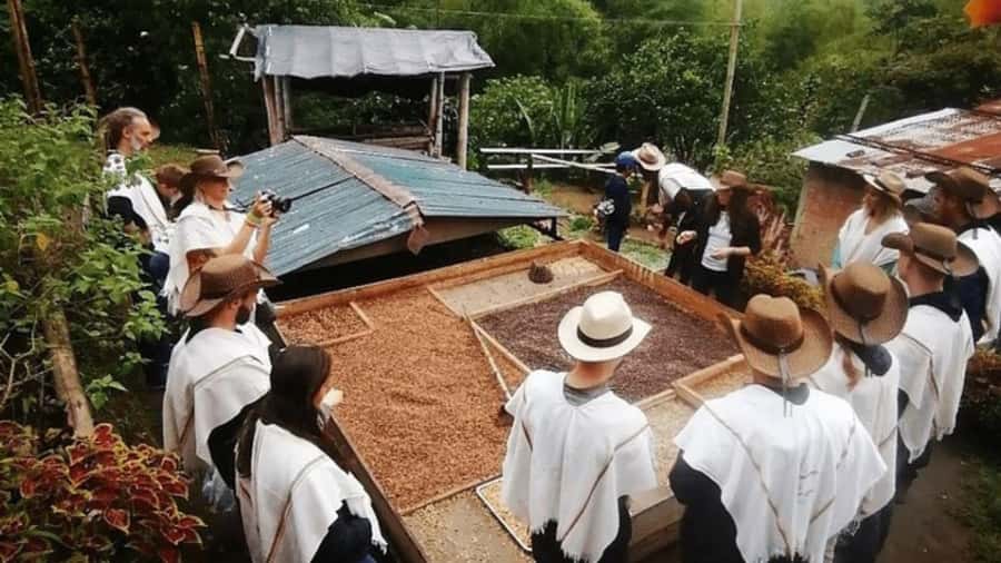 Private Tour to Coffee Farm (farm of your choice) - Views, coffee, and the value of a private group