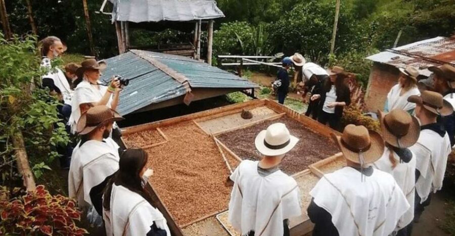 Private Tour to Coffee Farm (farm of your choice) - Who will get the most from this short farm visit