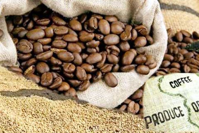 Private Tour to Fairview Coffee Farm in Nairobi with Pickup - Buying coffee at the estate