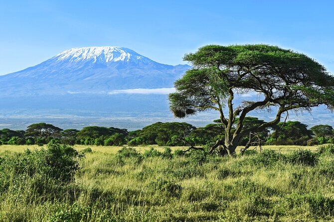 Private Tour to Marangu Waterfalls, Chagga Caves, Coffee tour & Hot Springs - Why this day works so well from Arusha
