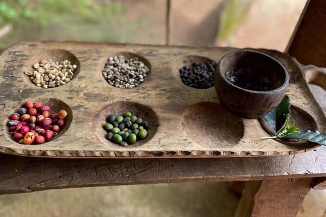 Private Tour to Marangu Waterfalls, Chagga Caves, Coffee tour & Hot Springs - What the private format changes