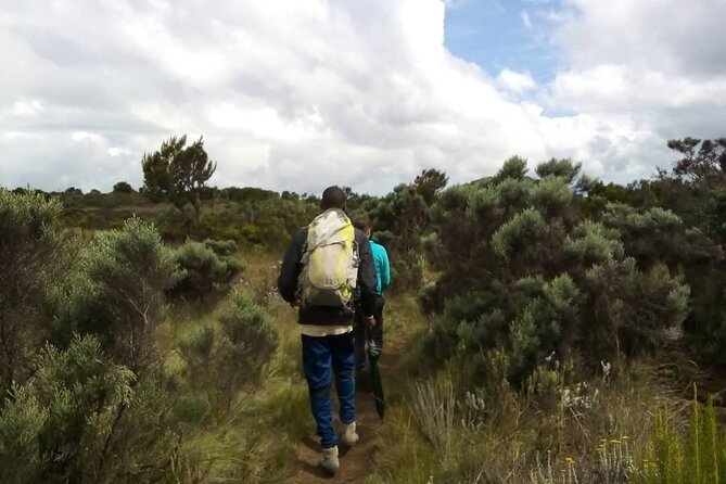 Private Tour to Marangu Waterfalls, Chagga Caves, Coffee tour & Hot Springs - What to pack and what to clarify