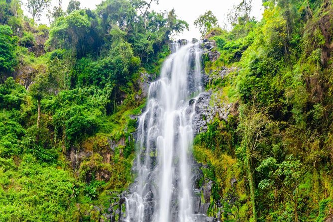 Private Tour to Materuni waterfalls, coffee tour & Kikuletwa hot- springs - Key points to know before booking