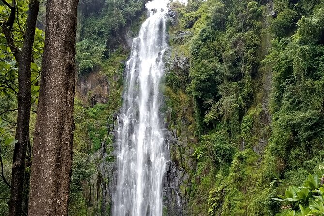 Private Tour to Materuni waterfalls, coffee tour & Kikuletwa hot- springs - The $99 price and who gets good value