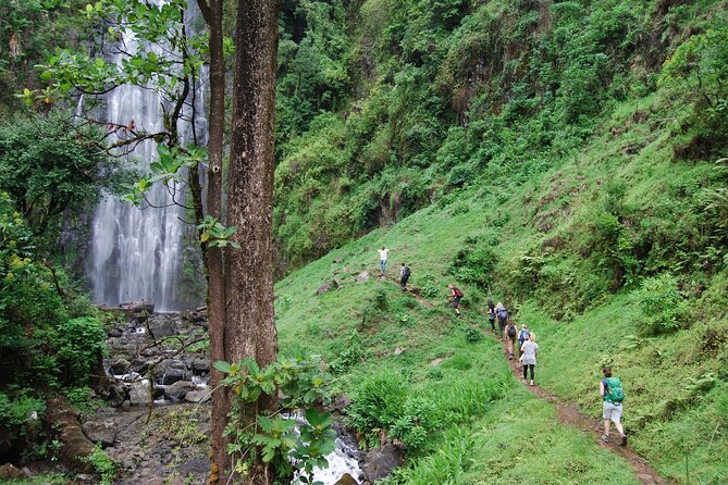 Private Tour to Materuni Waterfalls, coffee tour, Kikuletwa Hot Springs & Maasai - Key things to know before booking