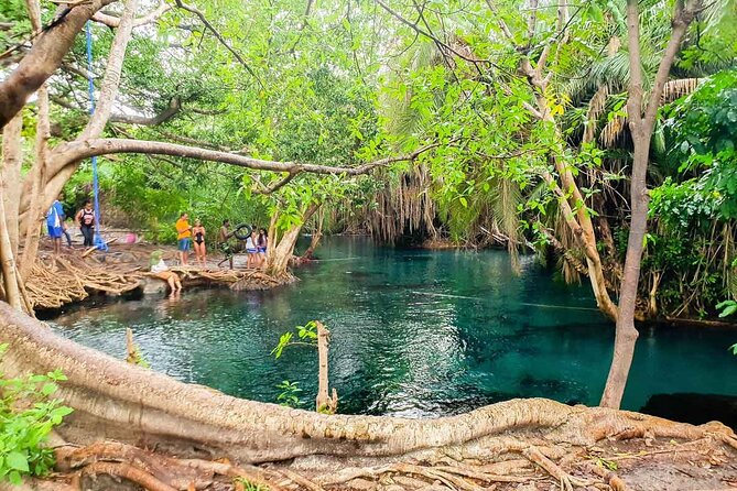 Private Tour to Materuni Waterfalls, coffee tour, Kikuletwa Hot Springs & Maasai - Materuni Waterfalls and the stair-heavy walk