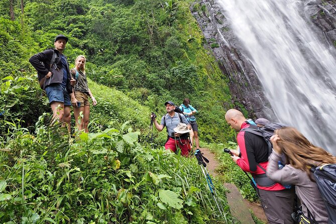 Private Tour to Materuni Waterfalls, coffee tour, Kikuletwa Hot Springs & Maasai - Local brewing and the human side of the day