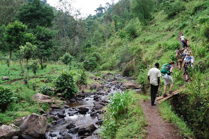Private Tour to Materuni Waterfalls, coffee tour, Kikuletwa Hot Springs & Maasai - What $80 includes, and where the value lies