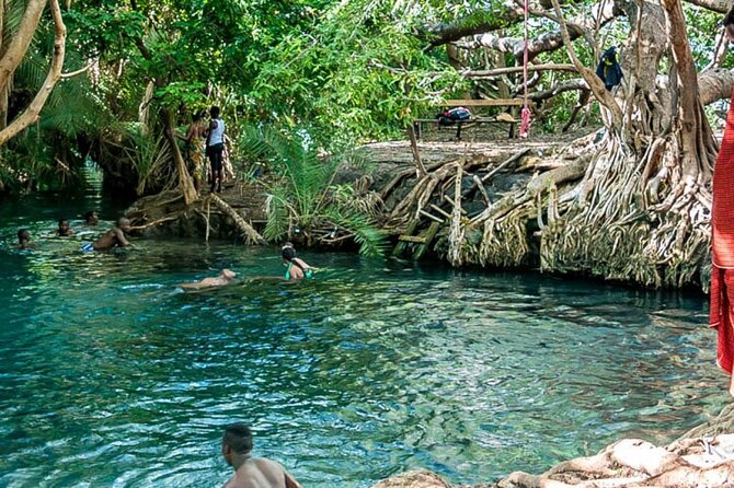 Private Tour to Materuni Waterfalls, coffee tour, Kikuletwa Hot Springs & Maasai - Timing, comfort, and what to pack