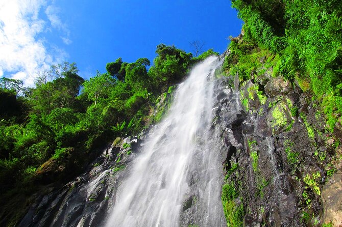 Private Tour to Materuni Waterfalls, coffee tour, Kikuletwa Hot Springs & Maasai - Making coffee from bean to cup