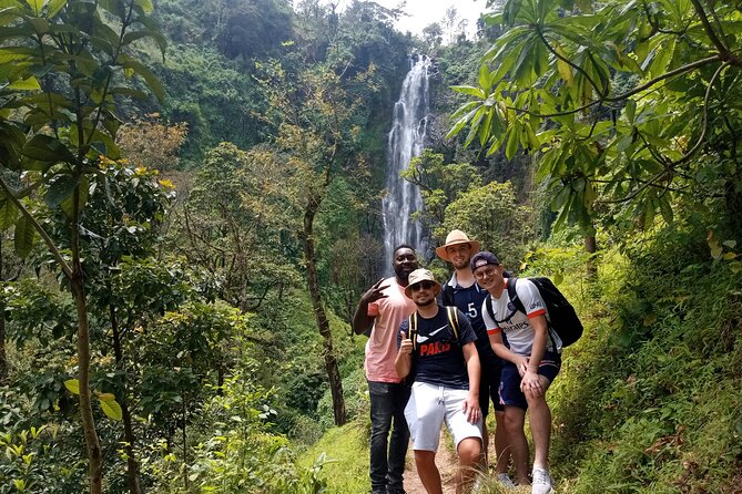 Private Tour to Materuni waterfalls, coffee tour & Kikuletwa hot- springs - The morning walk to Materuni Falls