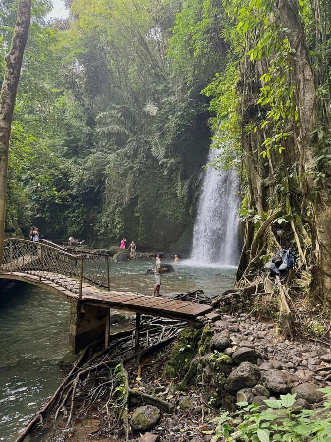 Private Ubud Tour: Sacred Monkeys, Coffee, Temple, Waterfall - Why this private Ubud day works well