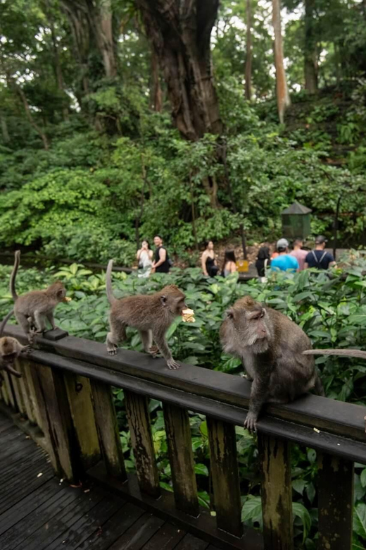 Private Ubud Tour: Sacred Monkeys, Coffee, Temple, Waterfall - Booking, timing, and cancellation details