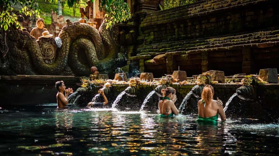 Private Ubud Tour: Sacred Monkeys, Coffee, Temple, Waterfall - Walking beneath the monkeys at Ubud Monkey Forest