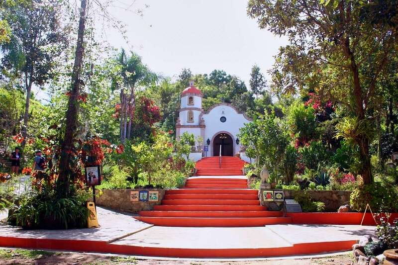 Puerto Vallarta: Botanical Gardens, Distillery & Coffee Tour - Why the botanical gardens deserve the most time