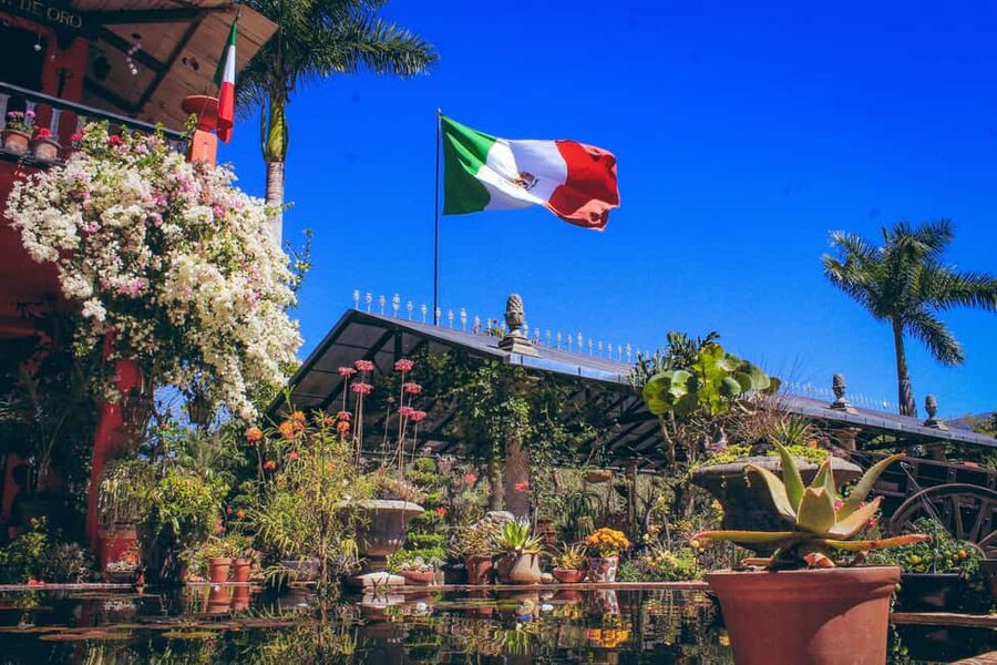 Puerto Vallarta: Botanical Gardens, Distillery & Coffee Tour - The organic coffee factory is brief but worthwhile