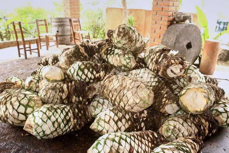Puerto Vallarta: Botanical Gardens, Distillery & Coffee Tour - Guides can make or break the day