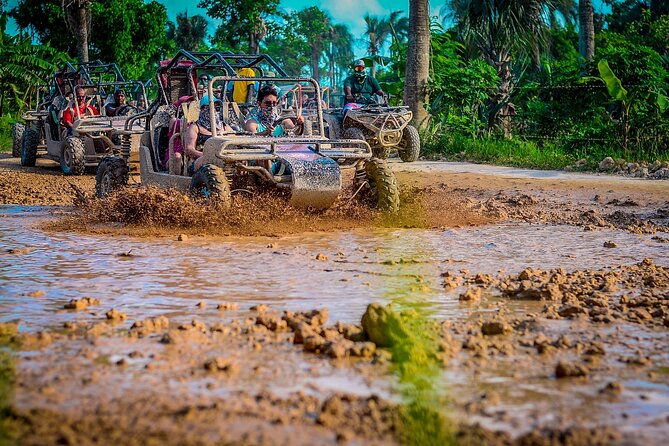Punta cana Boogie into the Jungle with Coffee and Chocolate Taste - From resort pickup to the Punta Cana backcountry