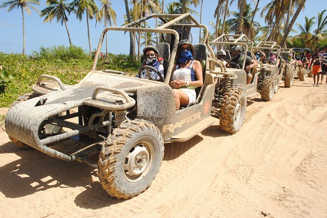 Punta cana Boogie into the Jungle with Coffee and Chocolate Taste - The real value of a $44 half-day
