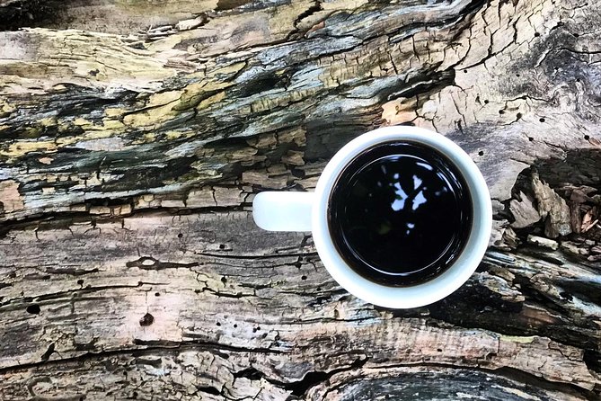 Roasting Experience at 14th Coffee Co - A rural property with plenty to notice