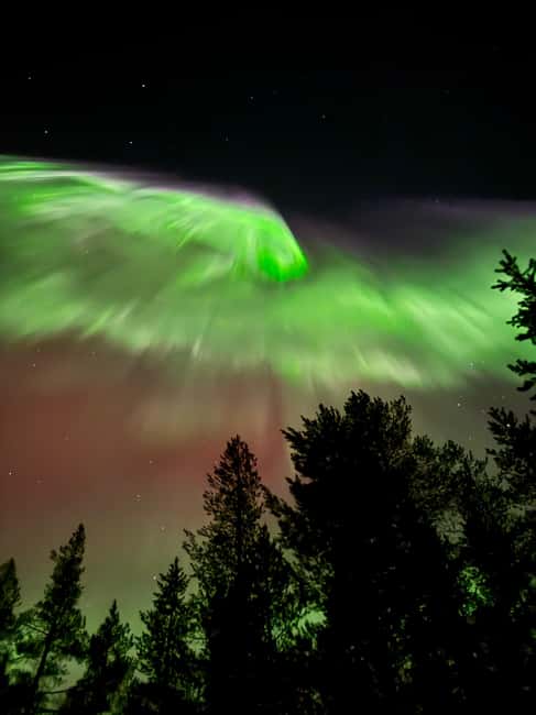 Rovaniemi: Coffee under Northern Lights & Professional Photo - What the $116 price really buys