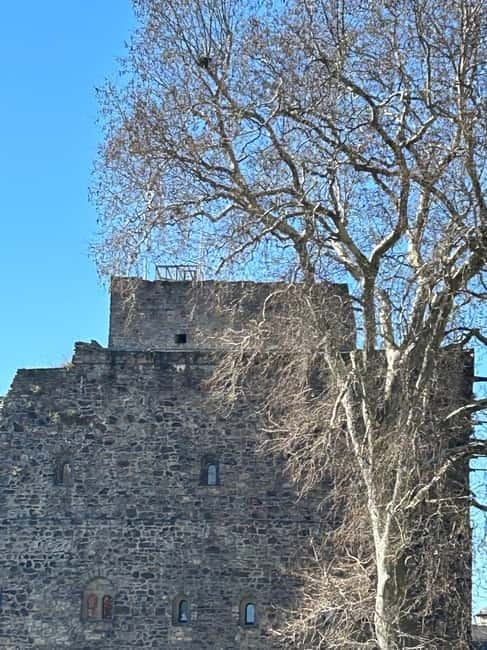 Rüdesheim: City tour with music, wine, and Rüdesheim coffee - Timing, weather, and practical details