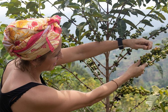 Rwandan Coffee Experience - Roasting and grinding by hand