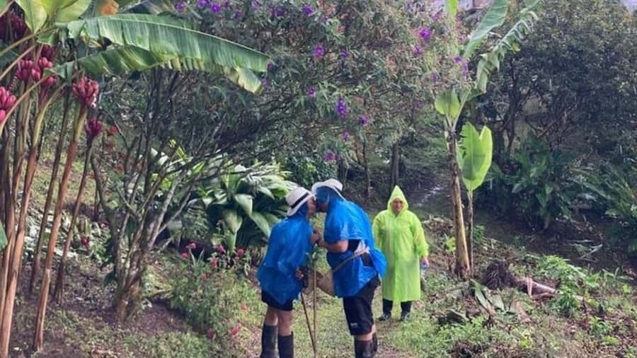 Salento and Cócora Tour + Coffee Farm from Pereira/Armenia - Final call: book it if convenience matters