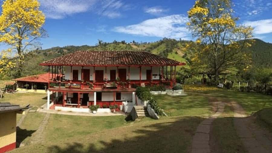 Salento and Cócora Tour + Coffee Farm from Pereira/Armenia - Why this private Coffee Region day works