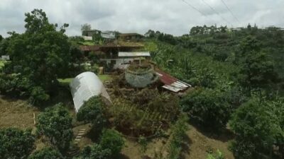 Salento and Cócora Tour + Coffee Farm from Pereira/Armenia