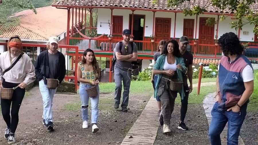 Salento and Cócora Tour + Coffee Farm from Pereira/Armenia - Is $173 per person a fair price?