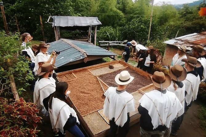 Salento and Cócora Tour plus Coffee Farm from Pereira or Armenia - Cocora Valley and its giant wax palms