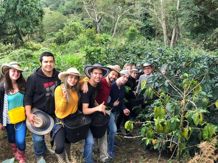 Salento: Coffee Farm Tour with Tasting - Key points to know before you book