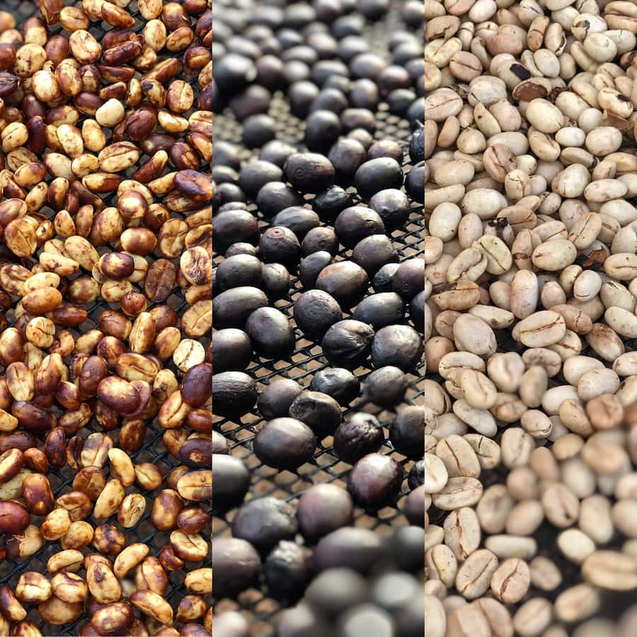 Salento: Coffee Farm Tour with Tasting - The guide can shape the whole experience