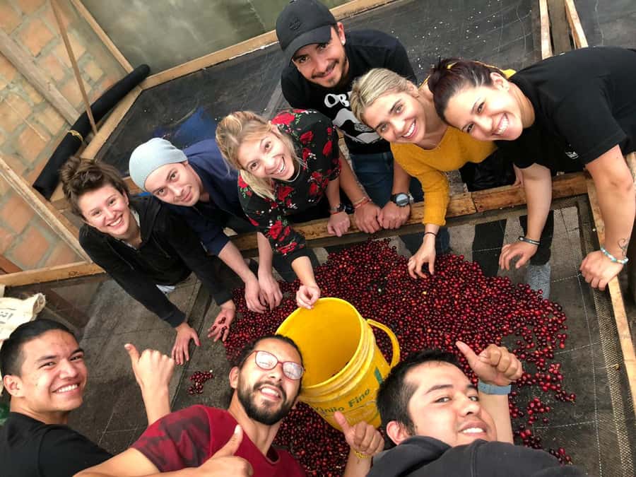 Salento: Coffee Farm Tour with Tasting - Walking through the coffee plantation