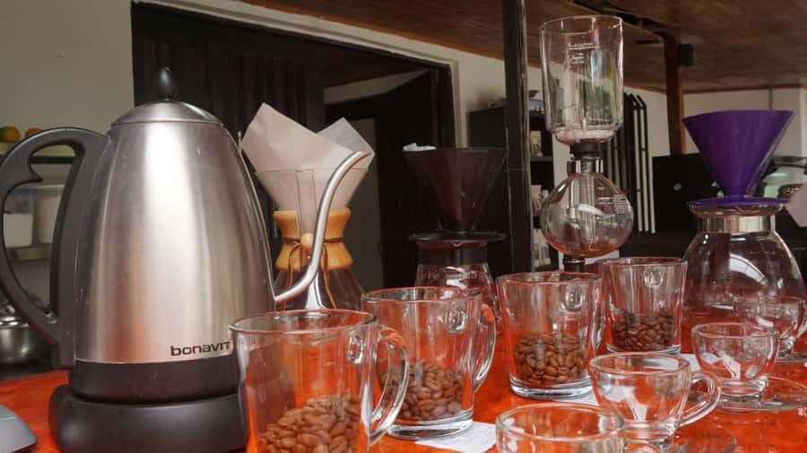 Salento: Coffee Master Roasting, Brewing and Tasting Tour - From green bean to finished cup in Tolima