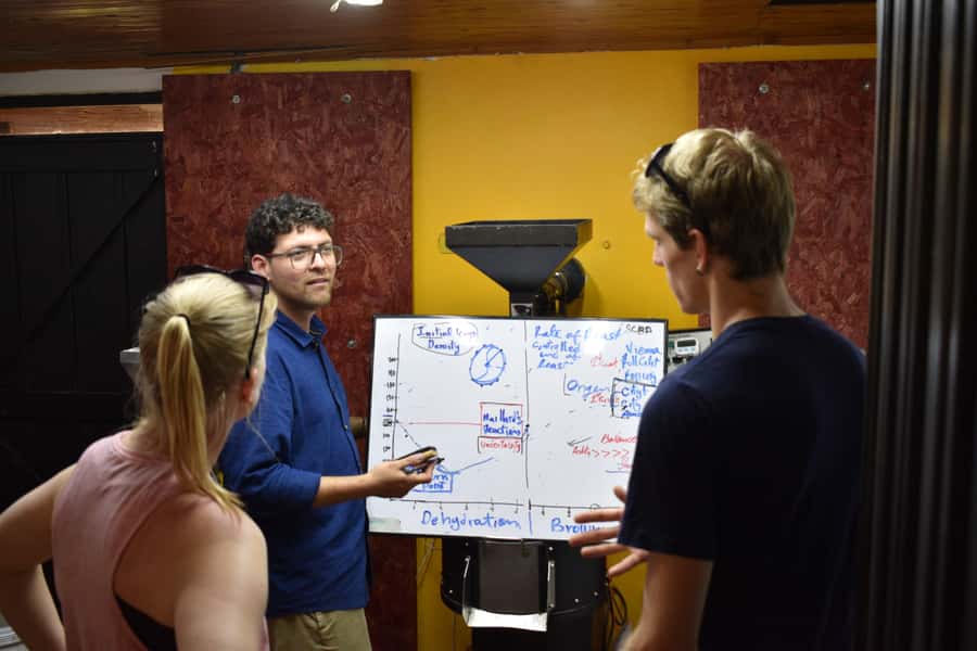 Salento: Coffee Master Roasting, Brewing and Tasting Tour - Who will enjoy this coffee workshop most
