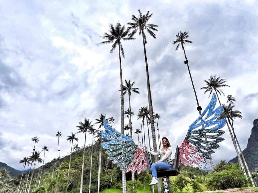 Salento: Private Cocora Valley, Salento & Coffee Farm Tour - Key points to know before booking