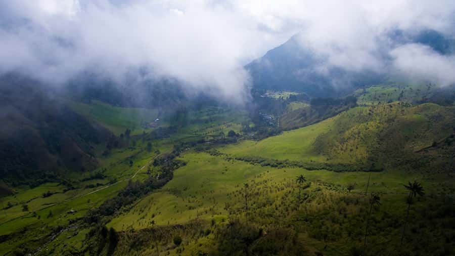 Salento: Private Cocora Valley, Salento & Coffee Farm Tour - A coffee farm from cherry to finished cup