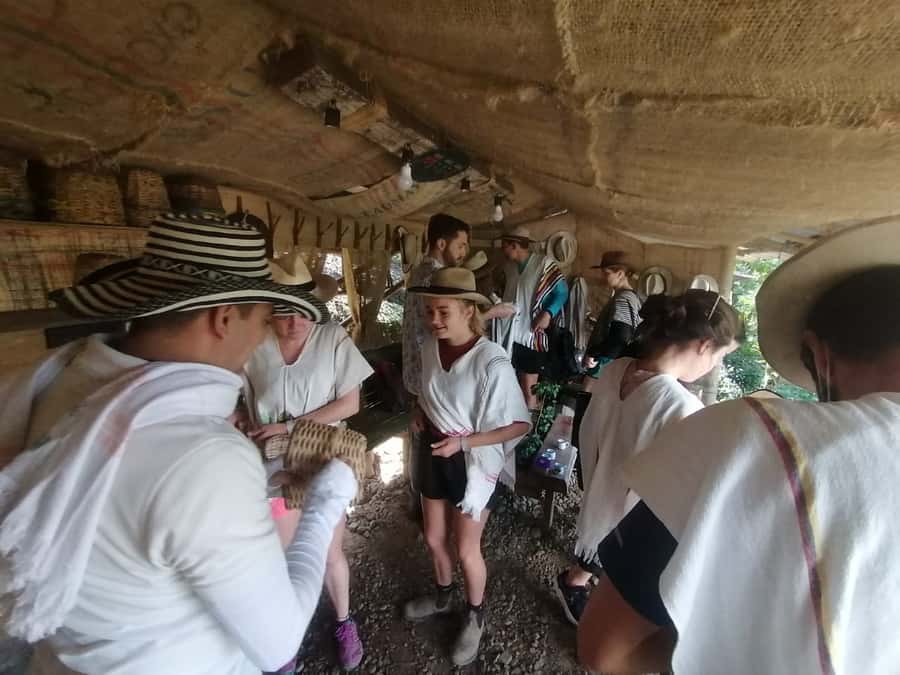 Salento: Private Cocora Valley, Salento & Coffee Farm Tour - Timing, weather, and how to prepare