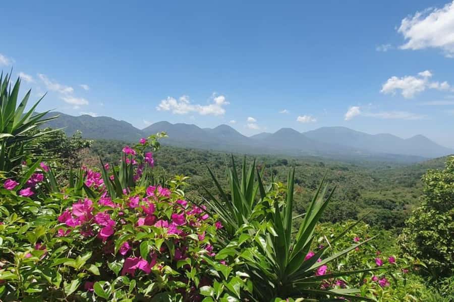 San Salvador: Full Day Ruta de Las Flores and Coffee Farm - Key points at a glance