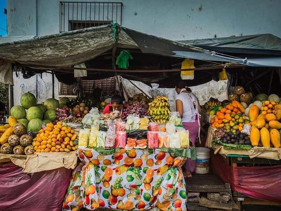 San Salvador: Full Day Ruta de Las Flores and Coffee Farm - Why this route works from San Salvador