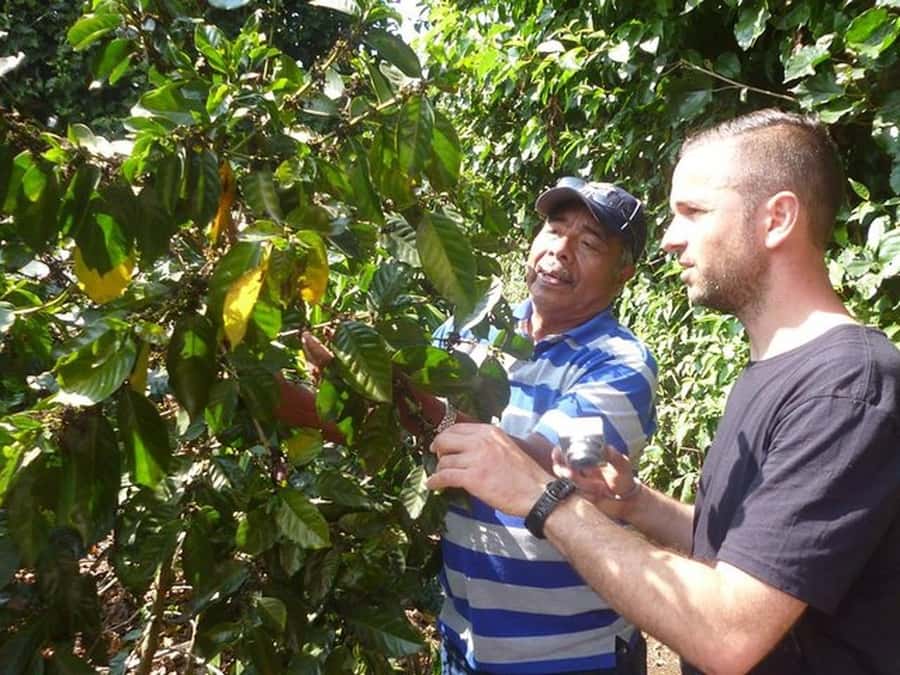 San Salvador: Full Day Ruta de Las Flores and Coffee Farm - Concepción de Ataco: murals, food, and weekend energy