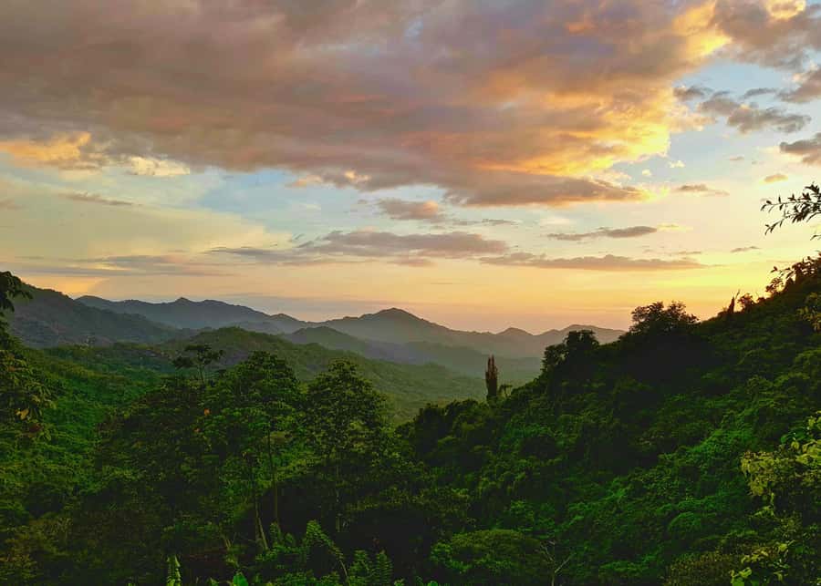 Santa Marta: Minca Coffee, Cocoa, & Waterfall Full-Day Trip - Coffee at a small plantation