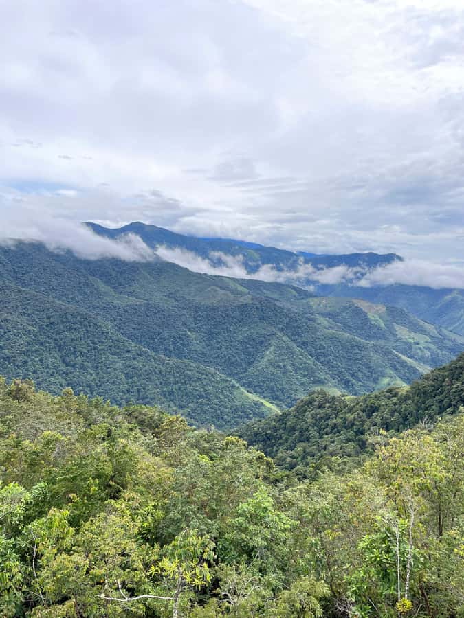 Santa Marta: Minca Coffee, Cocoa, & Waterfall Full-Day Trip - Lunch in a bamboo restaurant