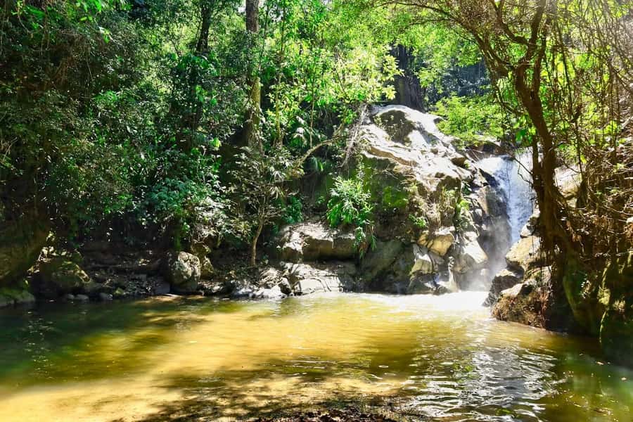 Santa Marta: Minca Coffee, Cocoa, & Waterfall Full-Day Trip - Turning cocoa into your own chocolate bar